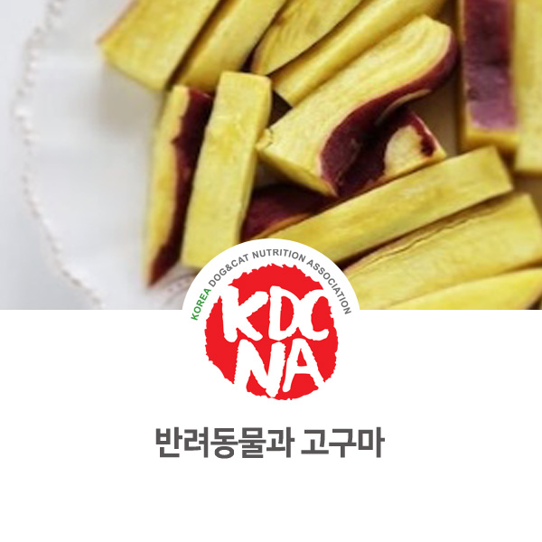 [강아지 고양이 영양 정보] 반려동물 고구마 식재료 알아보기_02