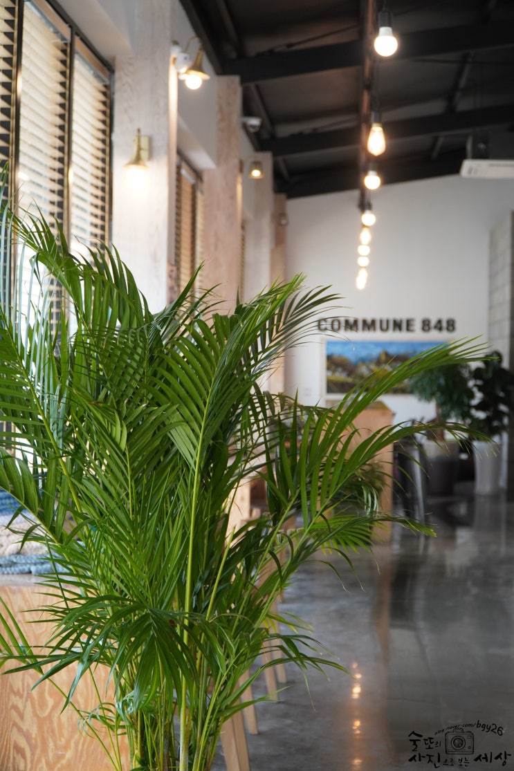  판교 카페 커뮨848 (COMMUNE)