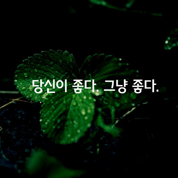  당신이 좋다. 그냥 좋다