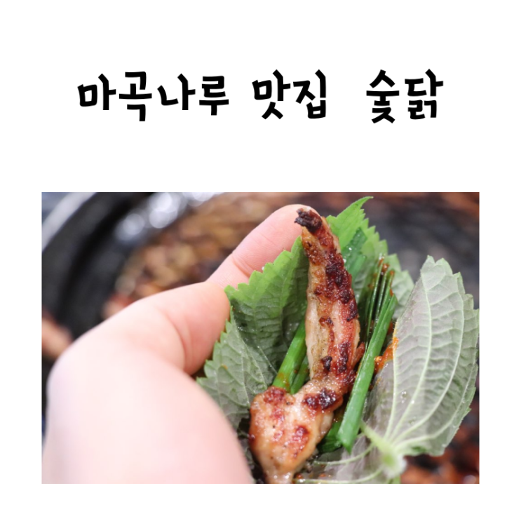 강서구 마곡나루 맛집 숯닭 숯불닭갈비 냠냠 재방문 의사 1000%