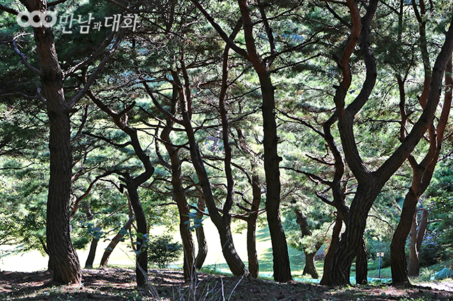  월명동수련원 산책로 지친 심신을 힐링해주는 장소