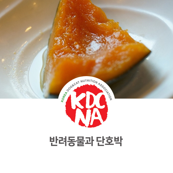  [강아지 고양이 영양 정보] 반려동물 펫푸드로 단호박이 주는 효능_54