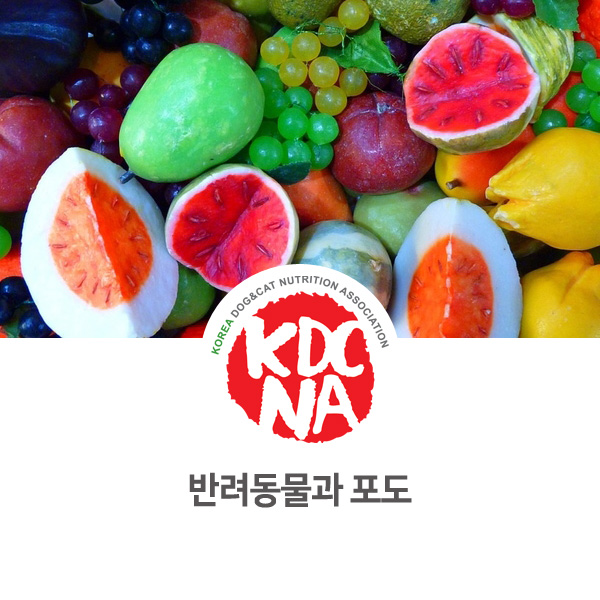  [강아지 고양이 영양 정보] 반려동물 식재료 포도의 위험성_38