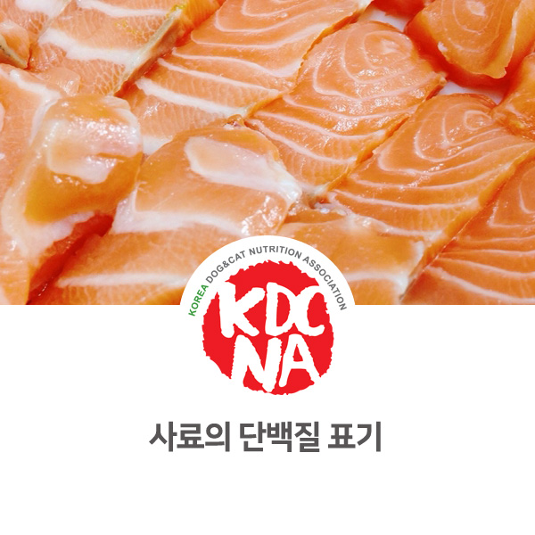  [강아지 고양이 영양 정보] 반려동물 사료 단백질 표기 성분_46
