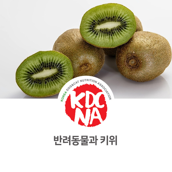  [강아지 고양이 영양 정보] 반려동물 펫푸드 식재료 키위 주의점_64