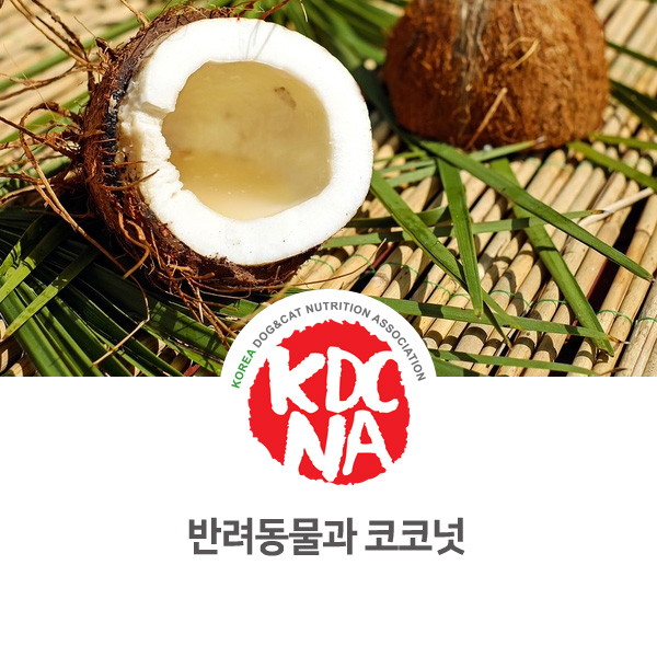  [강아지 고양이 영양 정보] 반려동물 코코넛 식재료 펫푸드로 활용하기_29