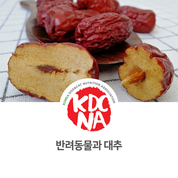 [강아지 고양이 영양 정보] 반려동물 대추 펫푸드로 먹어도 되나요?_31