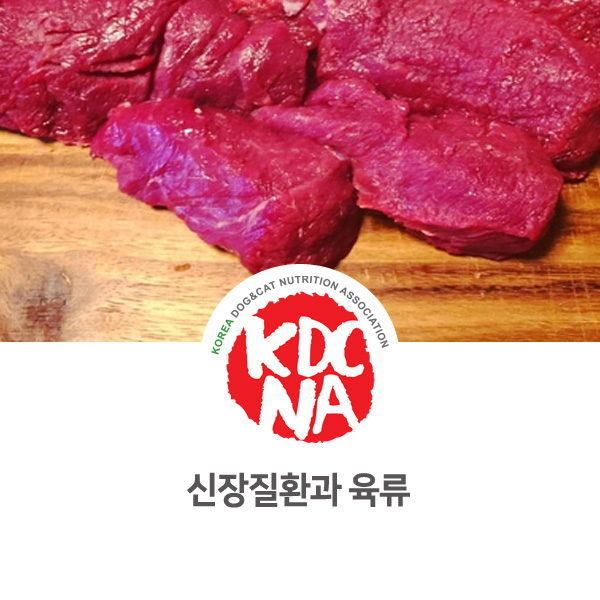  [강아지 고양이 영양 정보] 반려동물 신장 질환 주의해야할 육류 식재료_65