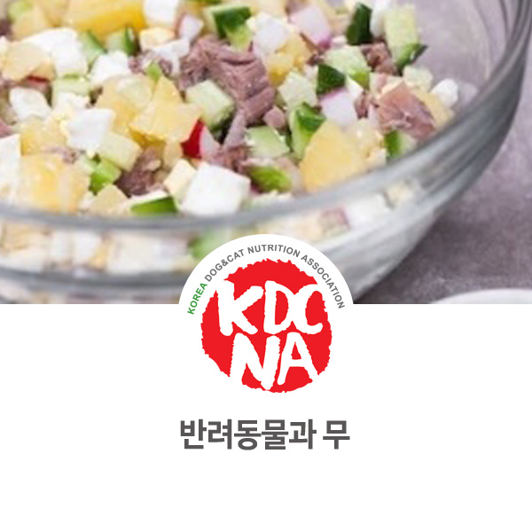  [강아지 고양이 영양 정보] 반려동물 식재료 무 알아보기_04