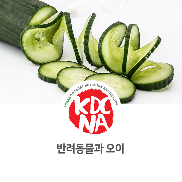  [강아지 고양이 영양 정보] 반려동물 오이 펫푸드로 먹어도 되나요?_20