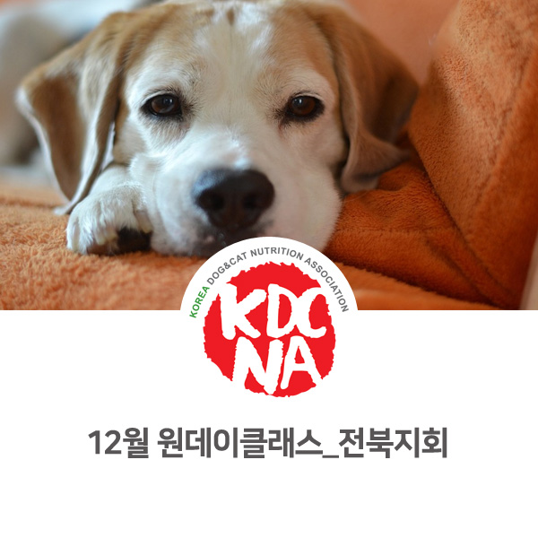  [반려동물 영양 전문 교육] 2018년 12월 펫푸드 만들기 원데이클래스 안내_01