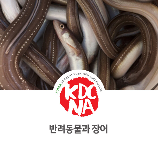  [강아지 고양이 영양 정보] 반려동물 식재료 장어의 기능_67