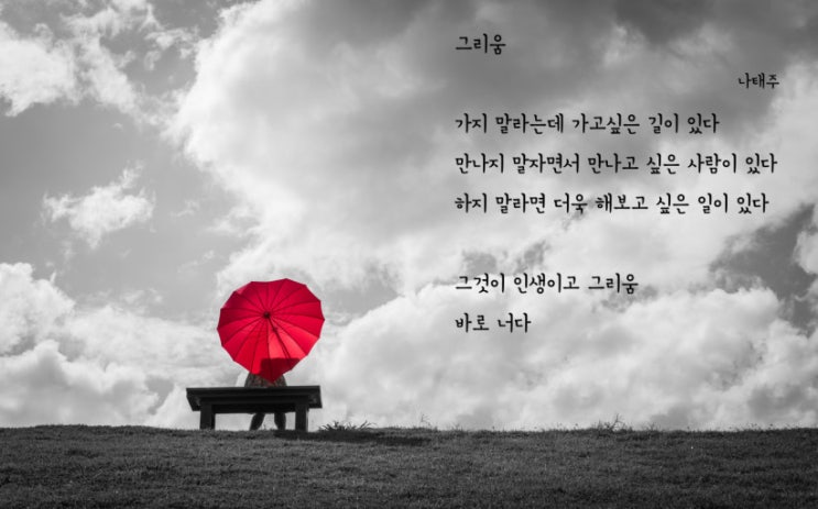  마음이 살짝 기운다 / 나태주 시인