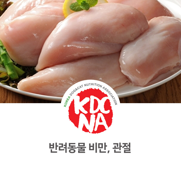  [강아지 고양이 영양 정보] 반려동물 비만과 관절 건강_53