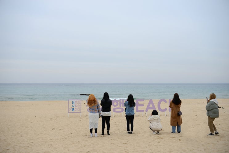  강릉여행 방탄소년단 BTS 앨범촬영지, 향호해변으로 '피미'여행~ BTS location of album jacket~
