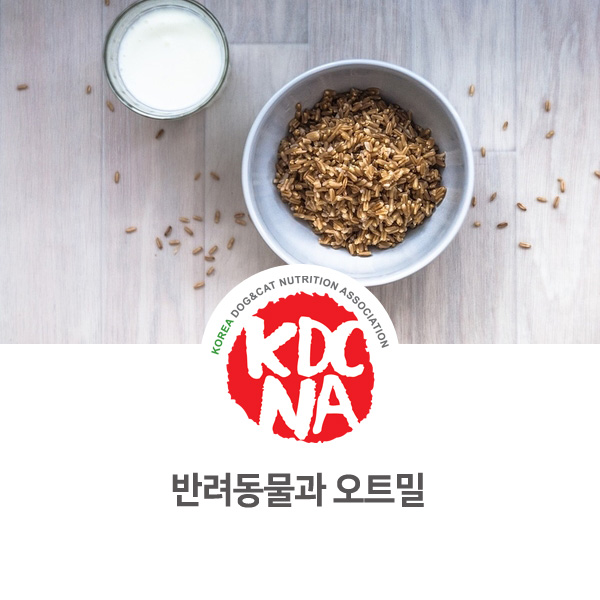 [강아지 고양이 영양 정보] 반려동물 보습 식재료 오트밀_61