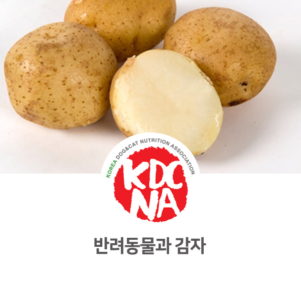  [강아지 고양이 영양 정보] 반려동물 탄수화물 식재료 감자 알아보기_36
