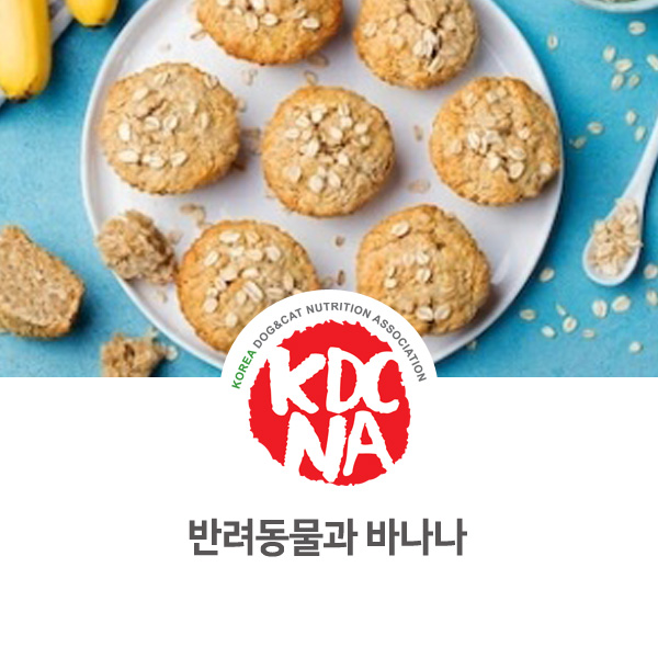  [강아지 고양이 영양 정보] 반려동물 식재료 바나나 알아보기_09