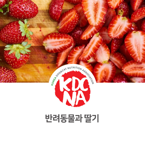 [강아지 고양이 영양 정보] 반려동물 펫푸드로 딸기 활용법_50