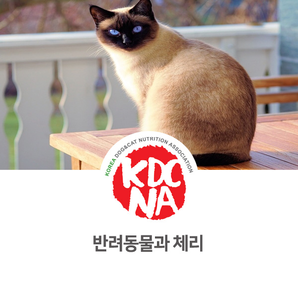  [강아지 고양이 영양 정보] 반려동물 체리 식재료 조심하자_68