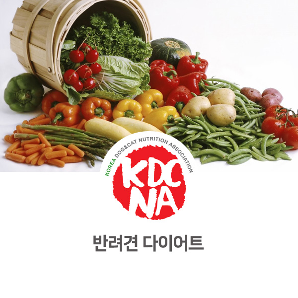  [강아지 고양이 영양 정보] 반려동물 다이어트 필요한 이유_30