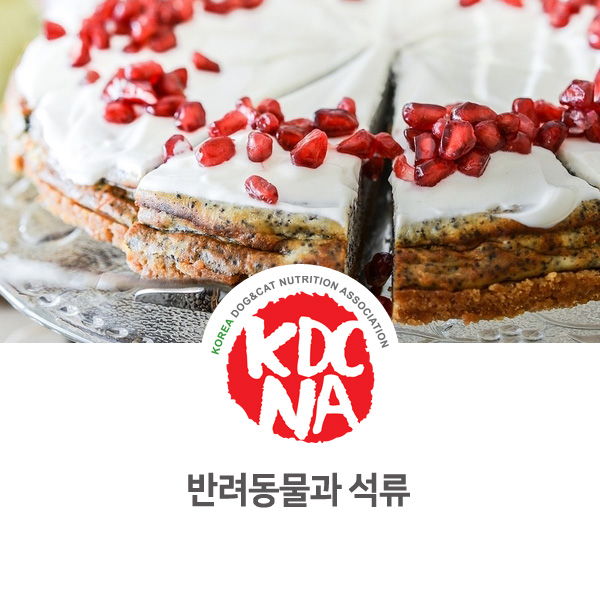  [강아지 고양이 영양 정보] 반려동물 석류 먹어도 될까요?_66