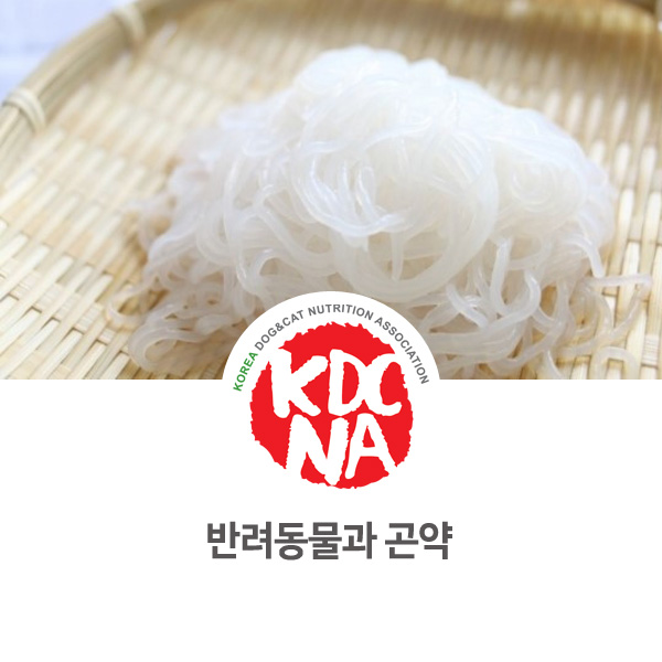  [강아지 고양이 영양 정보] 반려동물 포만감 식재료 곤약_44