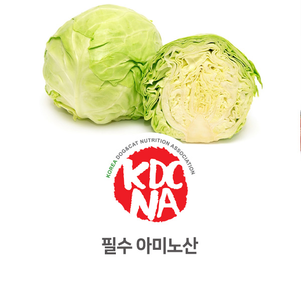  [강아지 고양이 영양 정보]  반려동물 필수아미노산 알아보기_28
