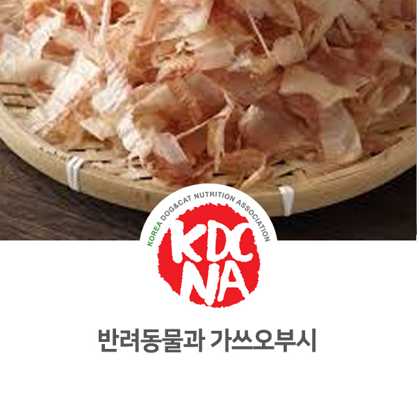  [강아지 고양이 영양 정보] 반려동물 가쓰오부시 식재료 활용하는 방법_19