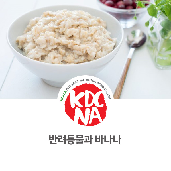  [강아지 고양이 영양 정보] 반려동물 식재료 바나나의 기능_25