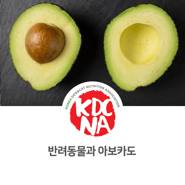  [강아지 고양이 영양 정보] 반려동물 펫푸드로 아보카도 먹어도 되나요?_32