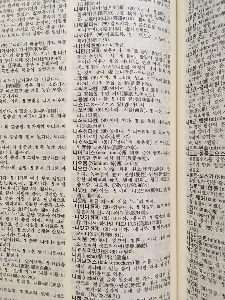  니로 시작하는 단어는 니암리슨?
