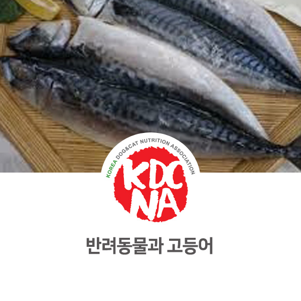 [강아지 고양이 영양 정보] 반려동물 펫푸드 고등어 식재료 먹어도 되나요?_41