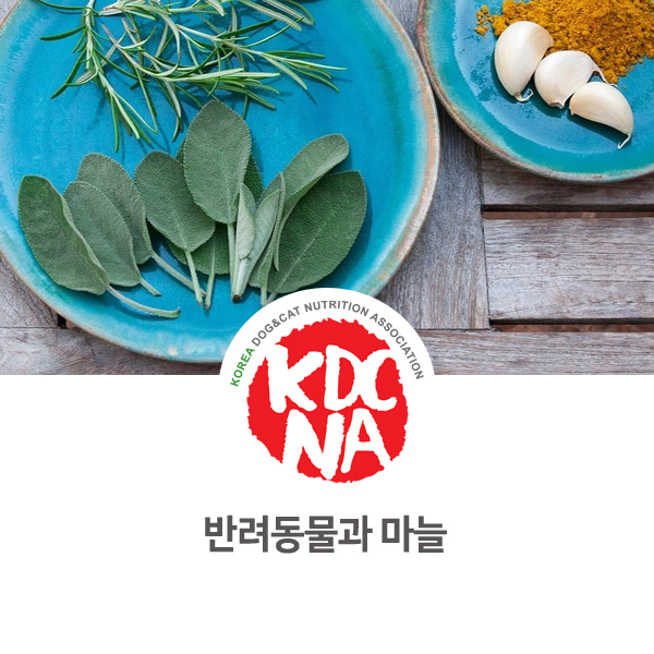  [강아지 고양이 영양 정보] 반려동물에게 마늘이 주는 효과_42