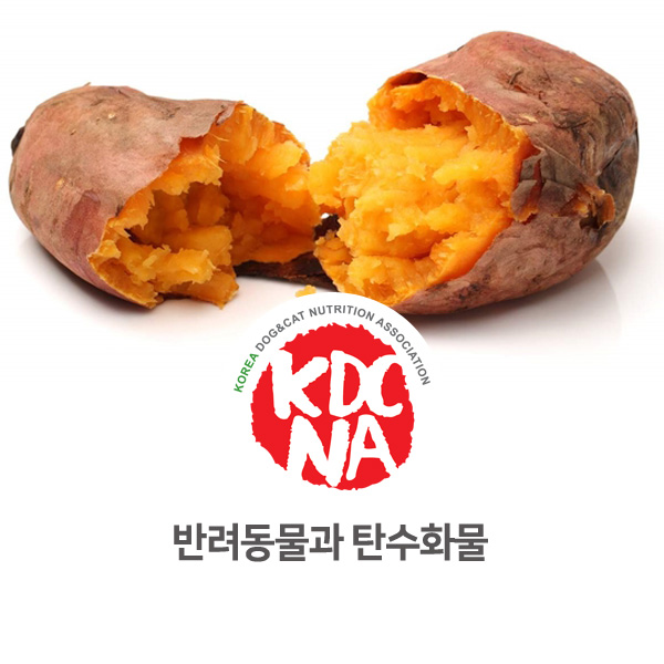  [강아지 고양이 영양 정보] 반려동물 탄수화물 식재료 알아보기_14