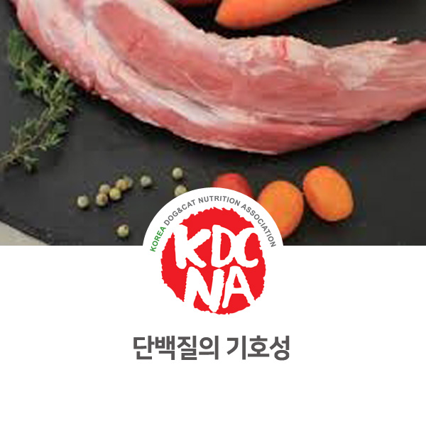  [강아지 고양이 영양 정보] 반려동물 기호성 높은 단백질 식재료 종류_12
