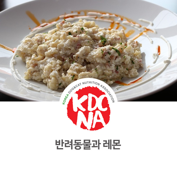  [강아지 고양이 영양 정보] 반려동물 레몬 식재료 먹어도 되나요?_22