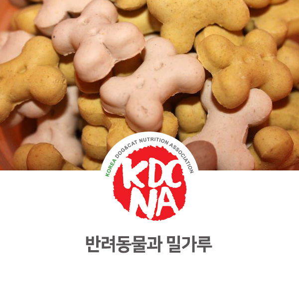 [강아지 고양이 영양 정보] 반려동물 식재료 밀가루 탄수화물_57