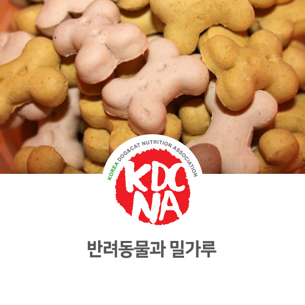  [강아지 고양이 영양 정보] 반려동물 식재료 밀가루 탄수화물_57