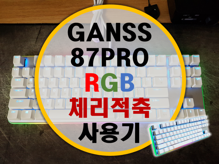 마이크로닉스 GANSS 87PRO RGB 적축 사용기 마이크로닉스 GANSS 87PRO RGB 적축 사용기