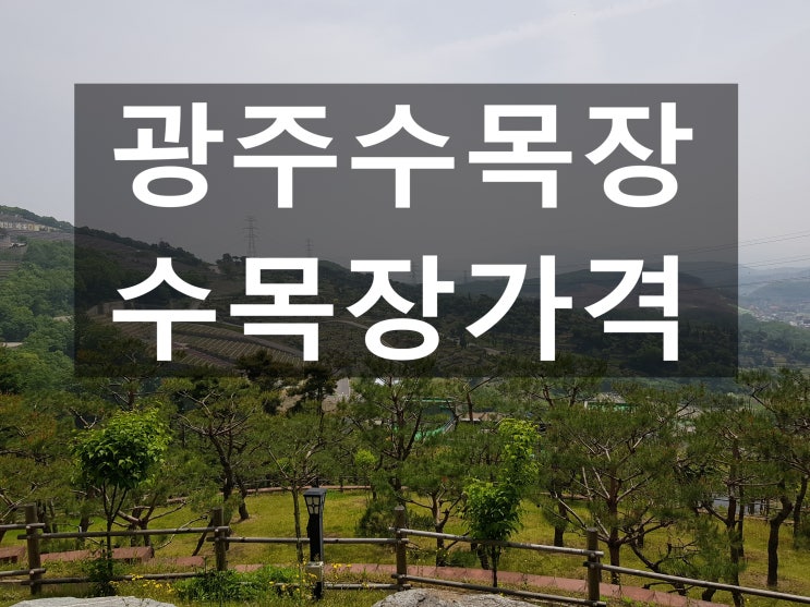  광주수목장 가격과 환경이 궁굼합니다~