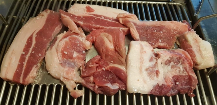  제주 연리지  가든 국내 유일의 재래 흑돼지  스토리를 듣다.