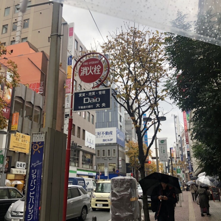  후쿠오카 텐진 다이묘거리 내가 좋아한 곳