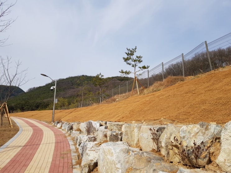  중앙 교육 연수원 법면  코아네트   설치  작업