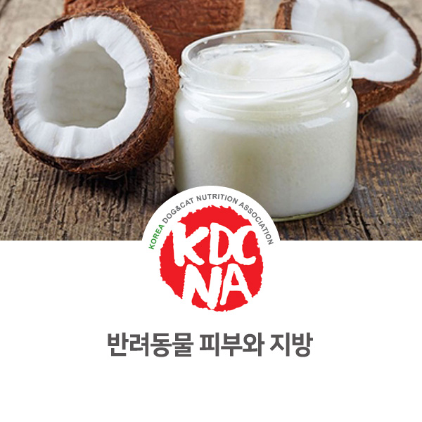  [강아지 고양이 영양 정보] 반려동물 피부질환과 지방의 연관성_49