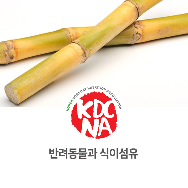  [강아지 고양이 영양 정보] 반려동물 탄수화물 일종 식물섬유 알아보기_48