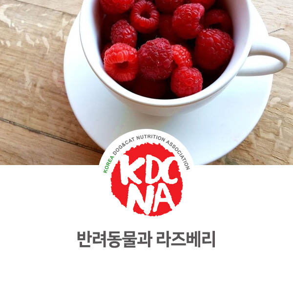  [강아지 고양이 영양 정보] 반려동물 라즈베리 펫푸드 먹어도 되나요?_15