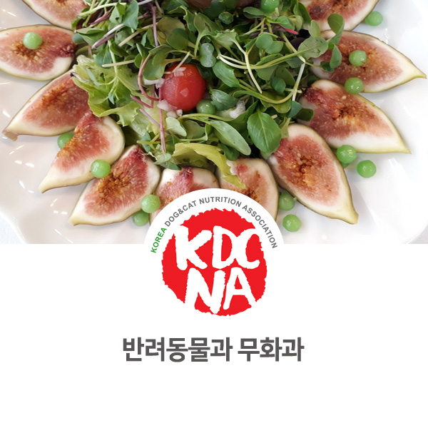  [강아지 고양이 영양 정보] 반려동물 알칼리성 식재료 무화과_63