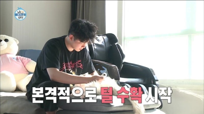 나혼자산다 고양이 집사 윤균상 취미 만들기~! 심희섭 이준혁 나이는 다른 언제나 내편 호형....