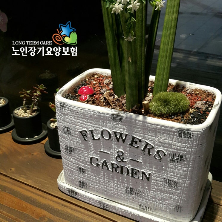  24시간 입주요양 서비스 이용절차 <입주간병인 안내>